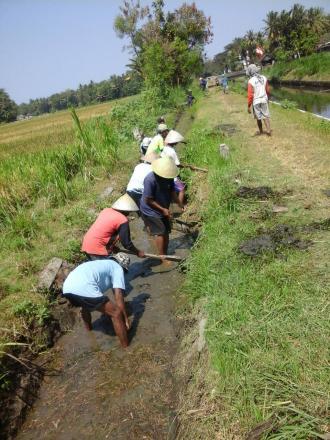 Angkat Walet di Desa Caturharjo 